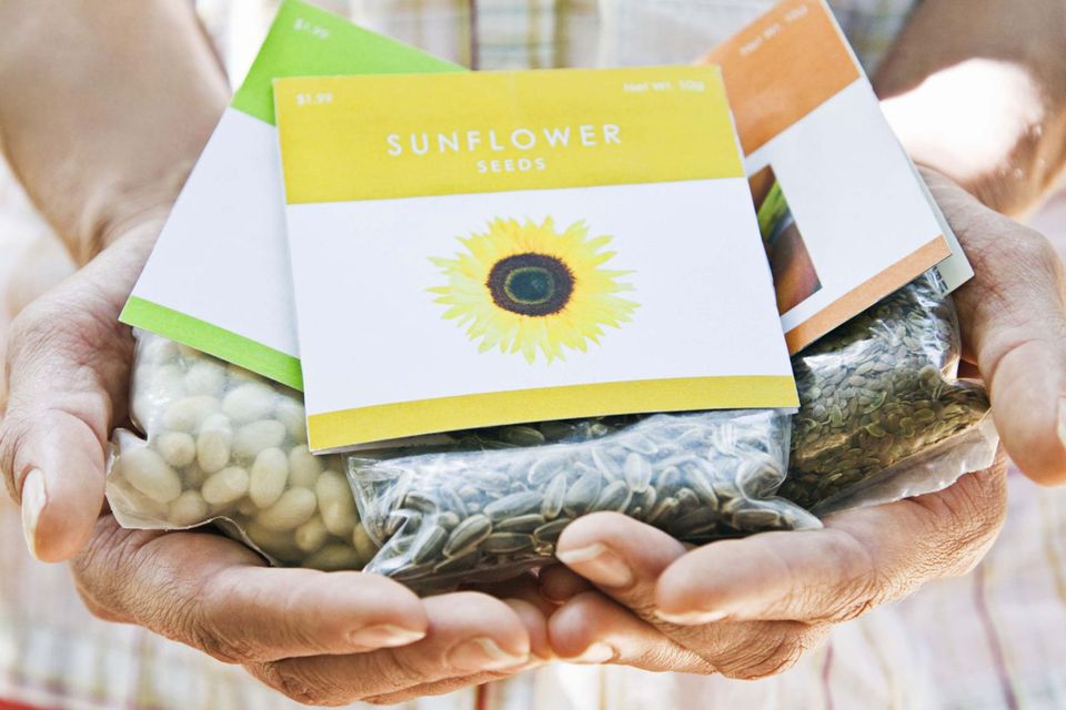 鈴蘭花的花語,紫玫瑰的花語,大麗花花語,花語可愛,雪蓮的花語